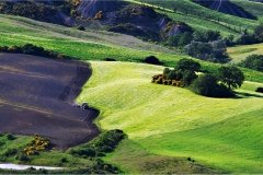 Terre di Siena - Paesaggi