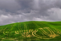 Terre di Siena - Paesaggi