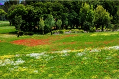 Terre di Siena - Paesaggi