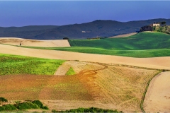 Terre di Siena - Paesaggi