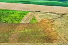 Terre di Siena - Paesaggi