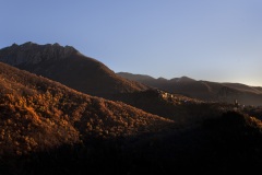 14-Vico-Pancellorum