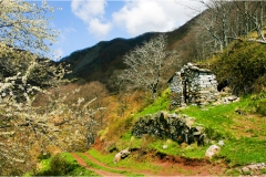 33 Valle dello Scesta -  Verso Siviglioli