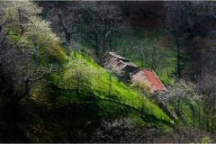 68- Val Fegana