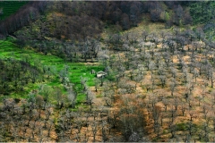 72- Val Fegana