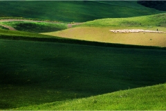 1_37-  Volterra - I paesaggi