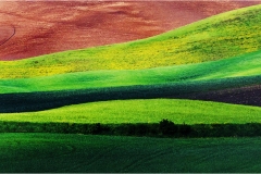 1_68-  Volterra - I paesaggi