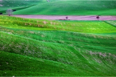 1_80-  Volterra - I paesaggi