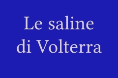 Volterra - Le saline