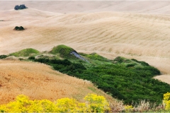 28-  Volterra - I paesaggi