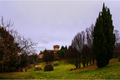 52-Volterra-
